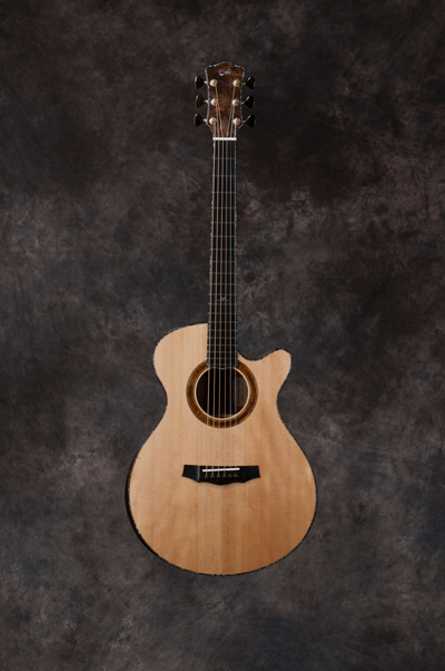Acoustic Kiwi model